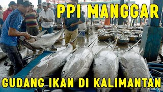Beraneka Ragam Ikan Di Ppi Manggar Balikpapan