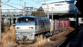 2019/01/27 JR貨物 5097レ EF66-112 新鶴見信号場