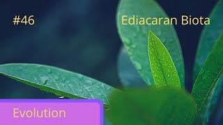 Biopedia episode 46- Ediacaran Biota screenshot 4