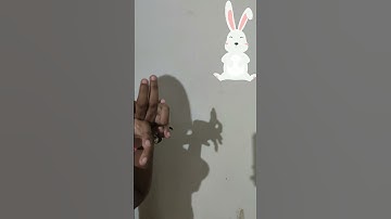 RABBIT SHADOW #kidsvideo #kidslearning #shadow #cartoon #doityourself