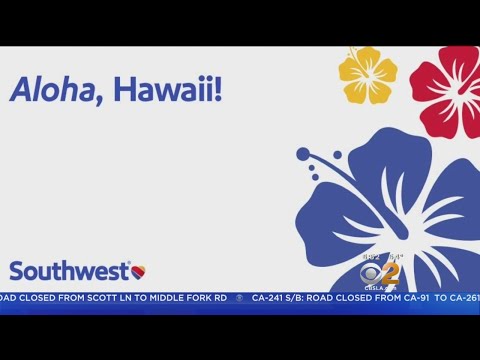 Video: Southwest Airlines Biedt Nu Vluchten Naar Hawaii