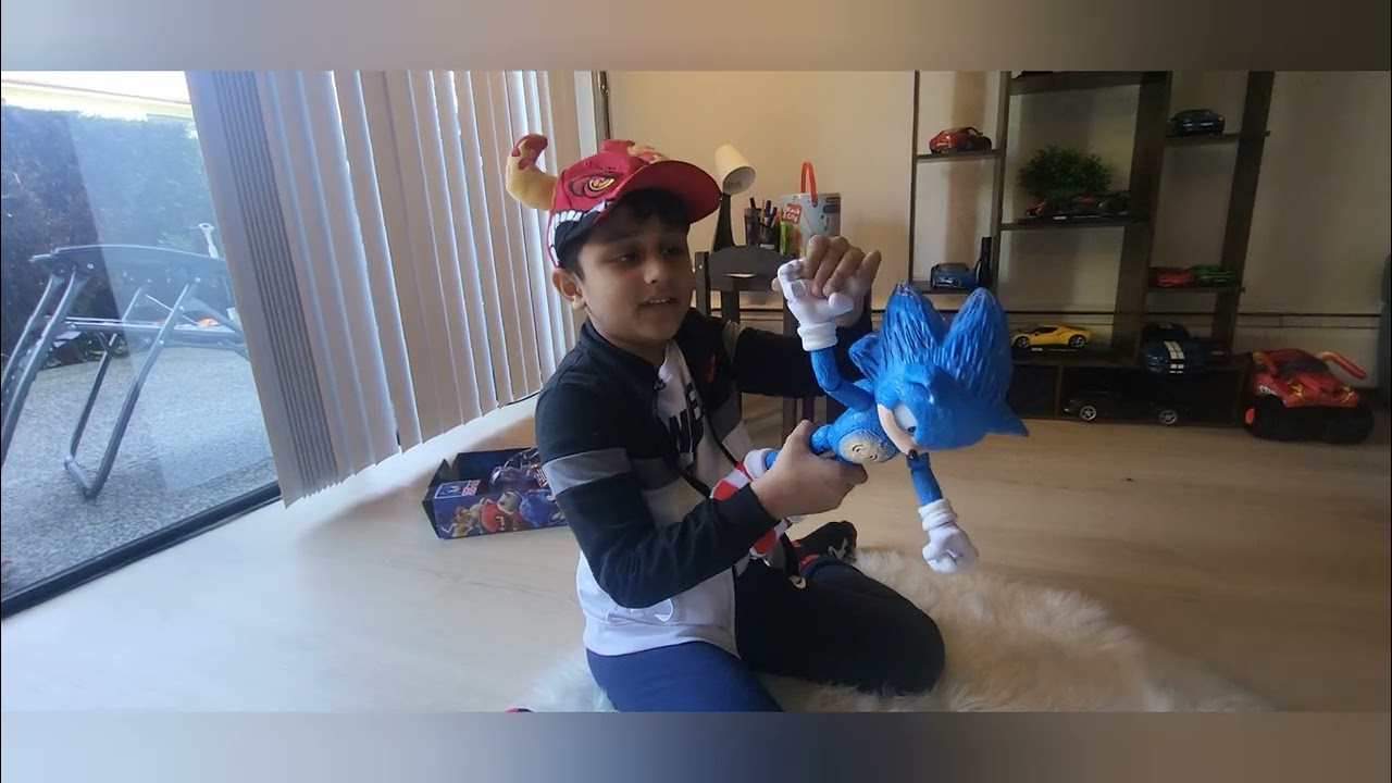 Noah's Toy review. Sonic 3 The Hedgehog Ultimate Talking Sonic.