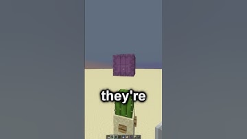 Did You Know, You Can Put a Fence Gate INSIDE a Shulker? #minecraftshorts #shorts