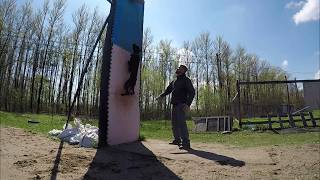 Wall climbing pitbull. Авентадор (KMK&#39;s Rocky Balboa).