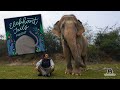 Elephant Tails EP2: Dr. Yaduraj and the rescue of Laxmi