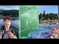 I forgot I filmed these kayak adventures…