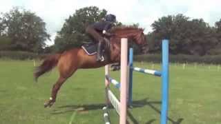 Gridwork & Flatwork