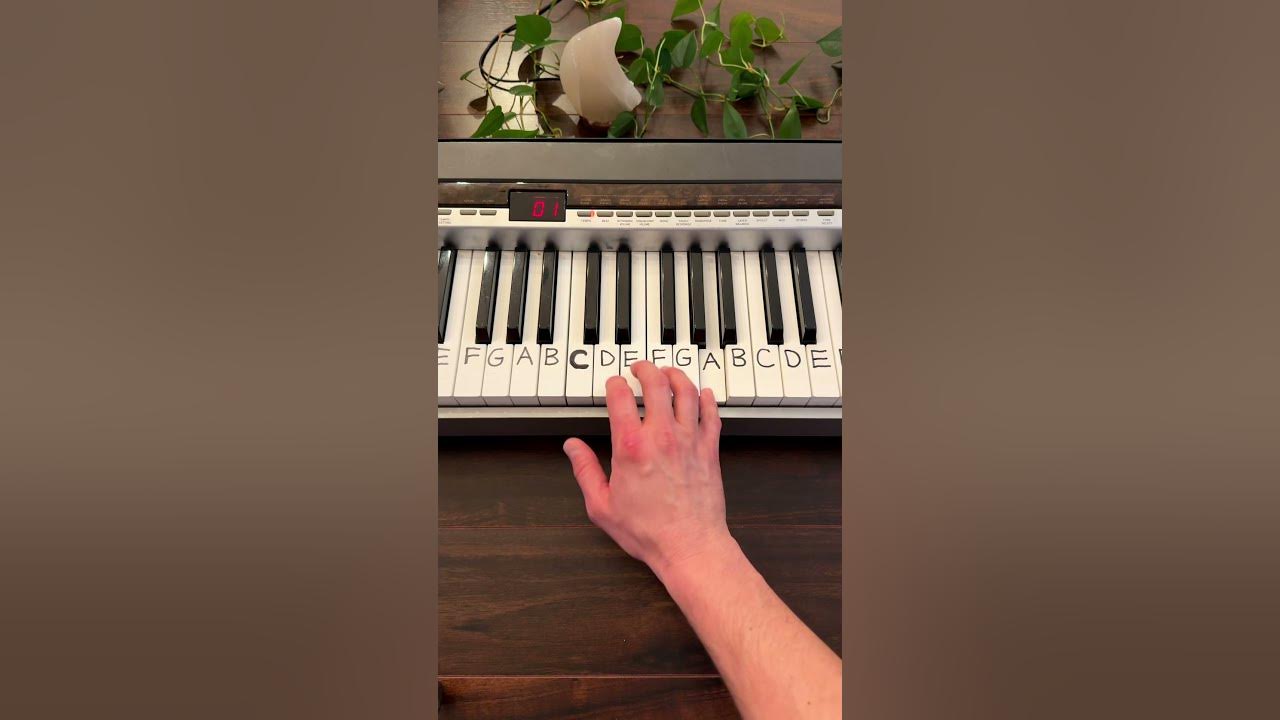Twinkle Twinkle Little Star (Part 2) - Piano Lesson