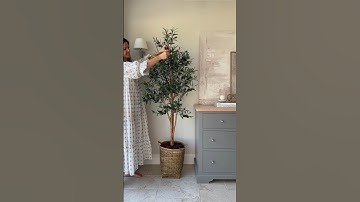 Our new Faux Olive Tree 🌳🌿 #unboxing #unboxingvideo #fauxolivetree