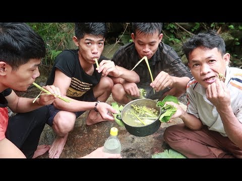 Video Bắt Ốc Khe Suối | Nhịp Sống Thường Ngày - youtube