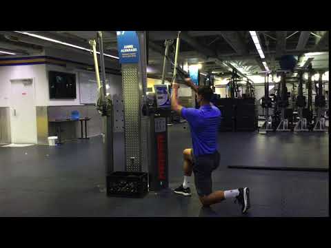 Half Kneeling Keiser X Pulldown