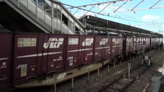 JR貨物　2074レ　EF66 113号機　サメ　2013年11月