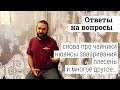 Ответы на вопросы. Часть 13. Снова про чайники, нюансы заваривания и многое другое