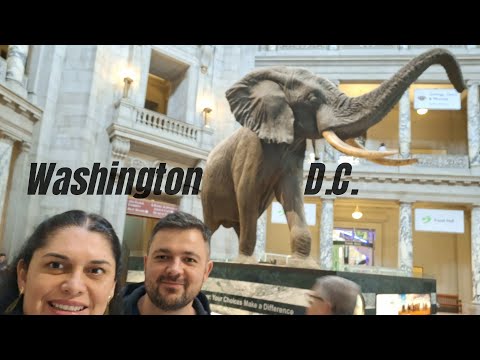 Vídeo: Explorando o Museu de História do Estado de Washington