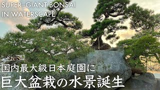 【迫力満点】超巨大盆栽の水景が伊勢の日本庭園に誕生！｜Super-Giant Bonsai in Waterscape