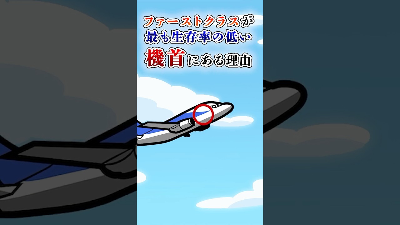 ファーストクラスが最も生存率が低い機首にある理由〜飛行機の雑学3選〜【アニメ】#テイペン #plottアニメ