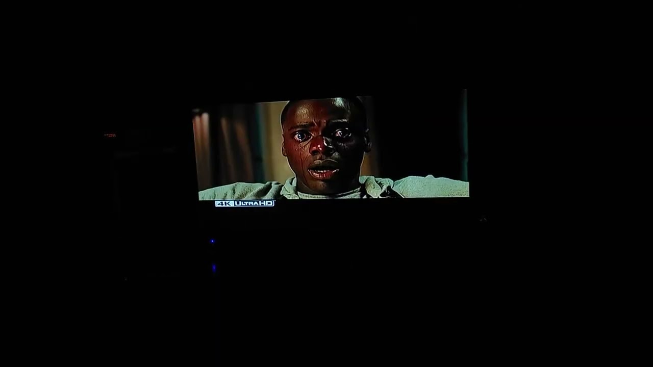 Opening Of Ilumination: The Secret Life Of Pets 2 DVD From 2019