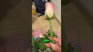 Is THIS a Flower Scam?! 😤