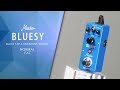 ROWIN / ギターエフェクターBLUESY - YouTube