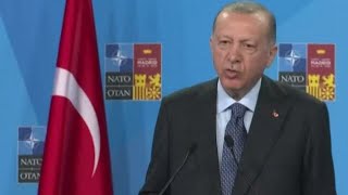 OTAN: Erdogan menace de bloquer l'adhésion de la Suède et la Finlande • FRANCE 24