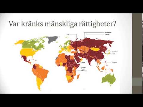 Video: Varför skrevs deklarationen om människors och medborgares rättigheter?