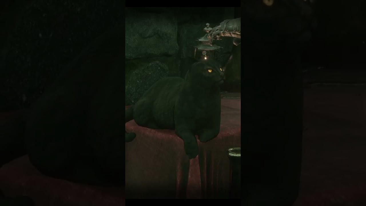 Самое важное в игре ☝😺 Mortal Shell 