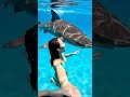 A swimmer gets the shock of their life