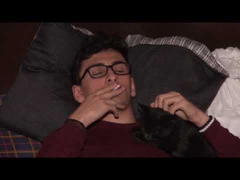 \"ალუზია\"-მარიამ ფარცვანია