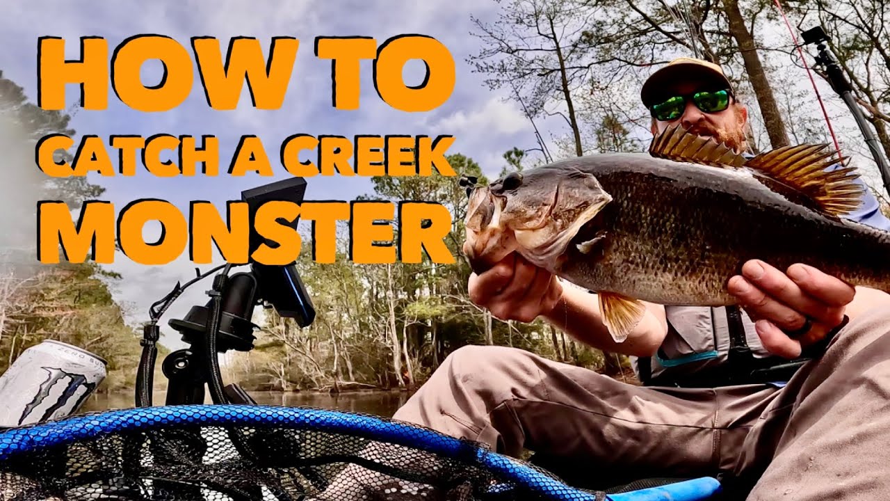 How to Catch a Creek Monster