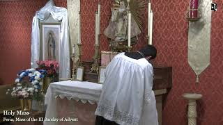 Vespers, Mass (7:30 PM) & Benediction: 6:30 PM EASTERN TIME (ET)