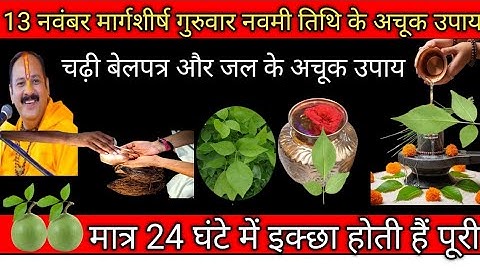 13 नवंबर मार्गशीर्ष "लक्ष्मी गुरुवार" उपाय | एक बेलपत्र जल से करे मनोकामनाएं पूरी #pradeepmishra #om