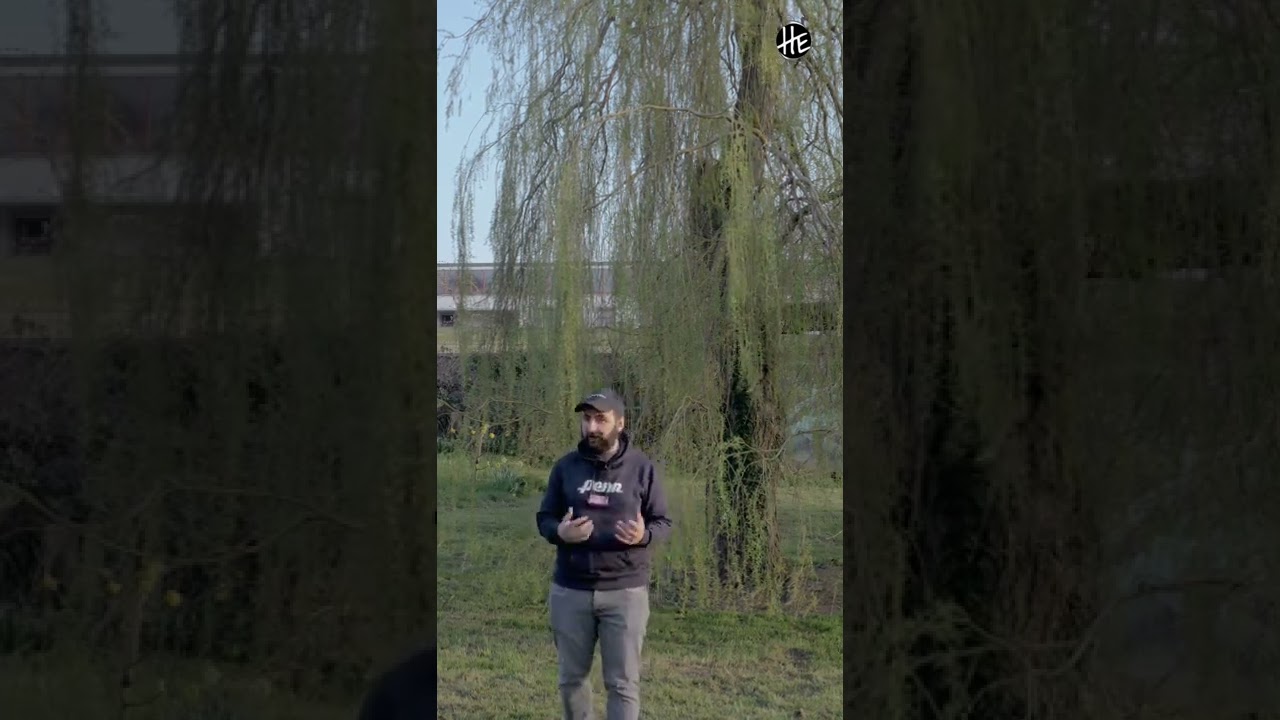 Di estoy en la hora boba, en 