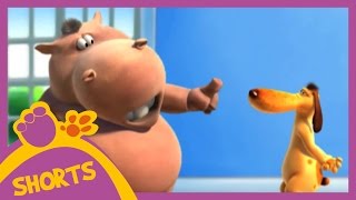 Pat and Stan | Riddle | Cartoons for Children
Pat thinks his riddle is so funny! Do you know a good riddle?
► Click to Subscribe: http://bit.ly/1SJzyTZ
✮ Watch more: http://bit.ly/PatandStanEpisode1
☆ Pat and Stan Shorts Playlist!: http://bit.ly/1ZAmqox
✮ Full Episodes of Pat and Stan: http://bit.ly/27aa6Ri
✮ Love Tips from Pat and Stan! Compilation: http://bit.ly/1rPmmpR
☆ Watch More Cartoons! Peppa Pig, Ben and Holly ☆
:bit.ly/BestofEOne
► Click to Subscribe: bit.ly/SubscribePatandStan
Q: What do you get if you cross a happy go-lucky hippo with a fun-loving yet cynical dog?
A: Pat and Stan comedy superstars of TV and Internet!
Brought to you by the producers of the hit shows Peppa Pig, Ben and Holly and Humf: Pat and Stan | Riddle | Cartoons for Children