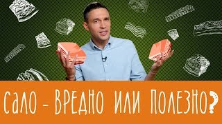 Сало - вредно или полезно?