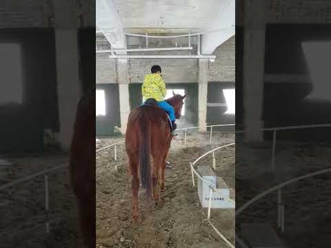 박도빈일상1