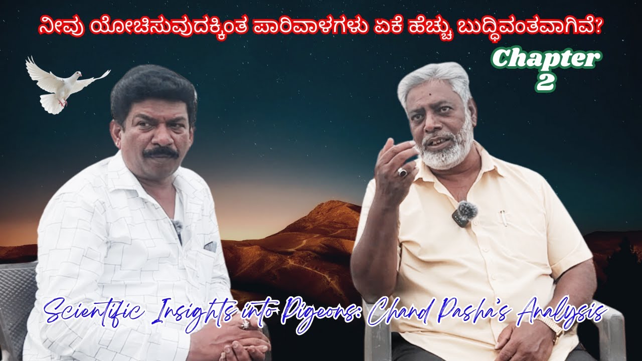 ನೀವು ಯೋಚಿಸುವುದಕ್ಕಿಂತ ಪಾರಿವಾಳಗಳು ಏಕೆ ಹೆಚ್ಚು ಬುದ್ಧಿವಂತವಾಗಿವೆ? Chand Pasha’s Analysis - Chapter 2