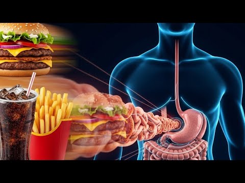 WHAT REALLY HAPPENS IN YOUR BODY WHEN YOU EAT JUNK FOOD FOR 5 DAYS ...