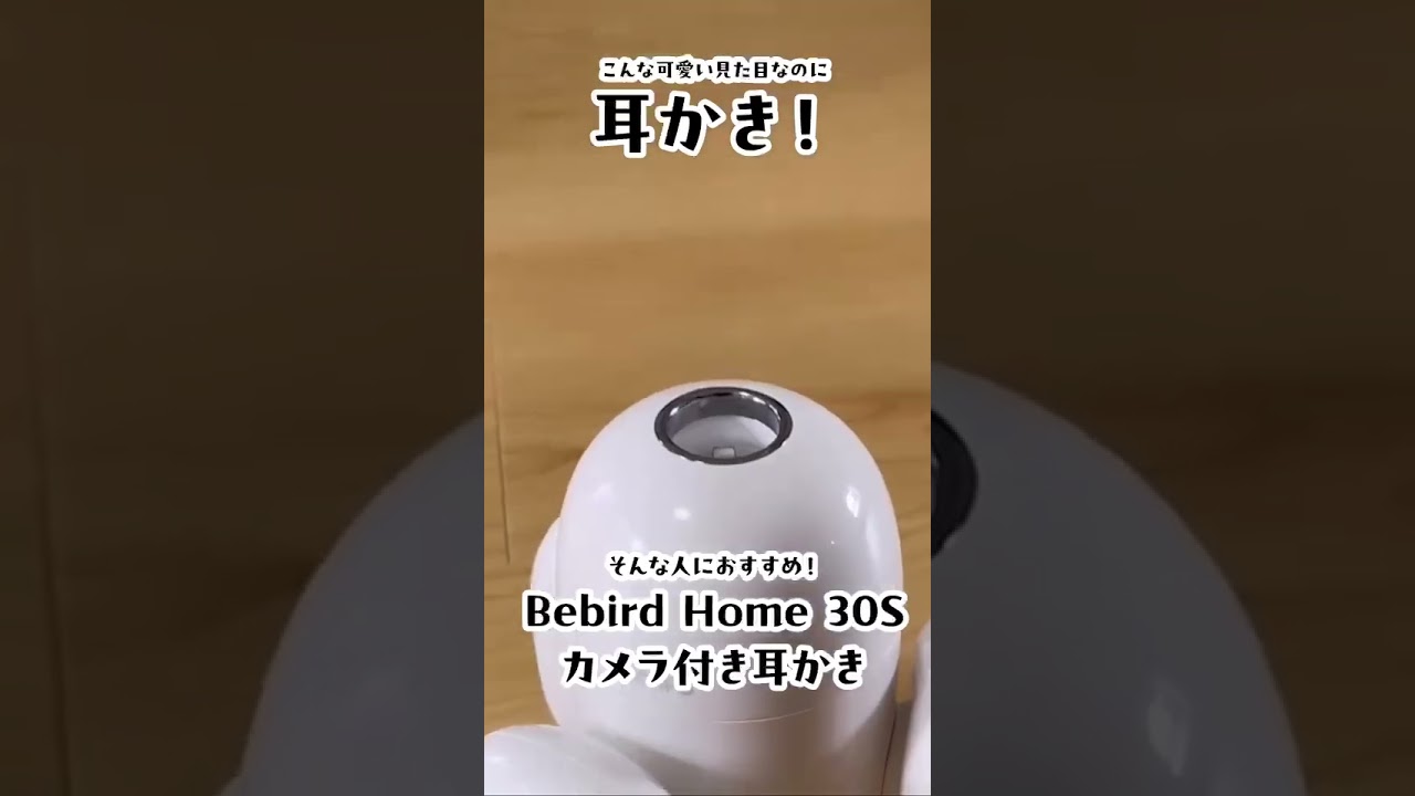 Bebird Home 30Sはスマホを通してかなり見やすいです👏 - YouTube