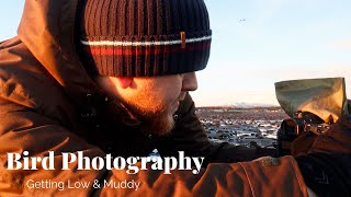 Bird Photography at Sunrise | Crawling in the Sand
