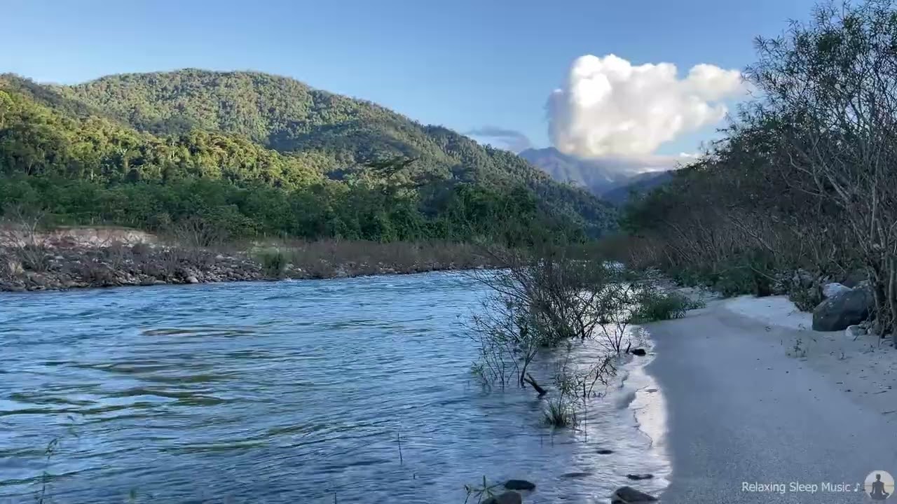 Emotional Healing Piano at Night | Birds and Stream for Deep Calm and Release