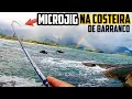 PESCA de MICRO JIGGING da COSTEIRA - AVENTURA e MUITO PEIXE