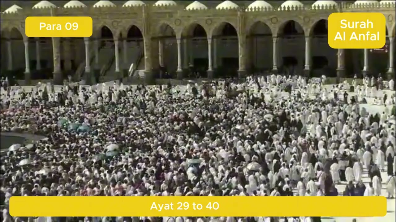 Quran Tilawat Episode 85 || quran || quran recitation || Sura Al Anfal || beautiful quran recitation