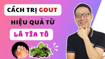 Lợi ích sức khỏe của LÁ TÍA TÔ | Cách trị Gout bằng tía tô hiệu quả | Hà Giảm Cân