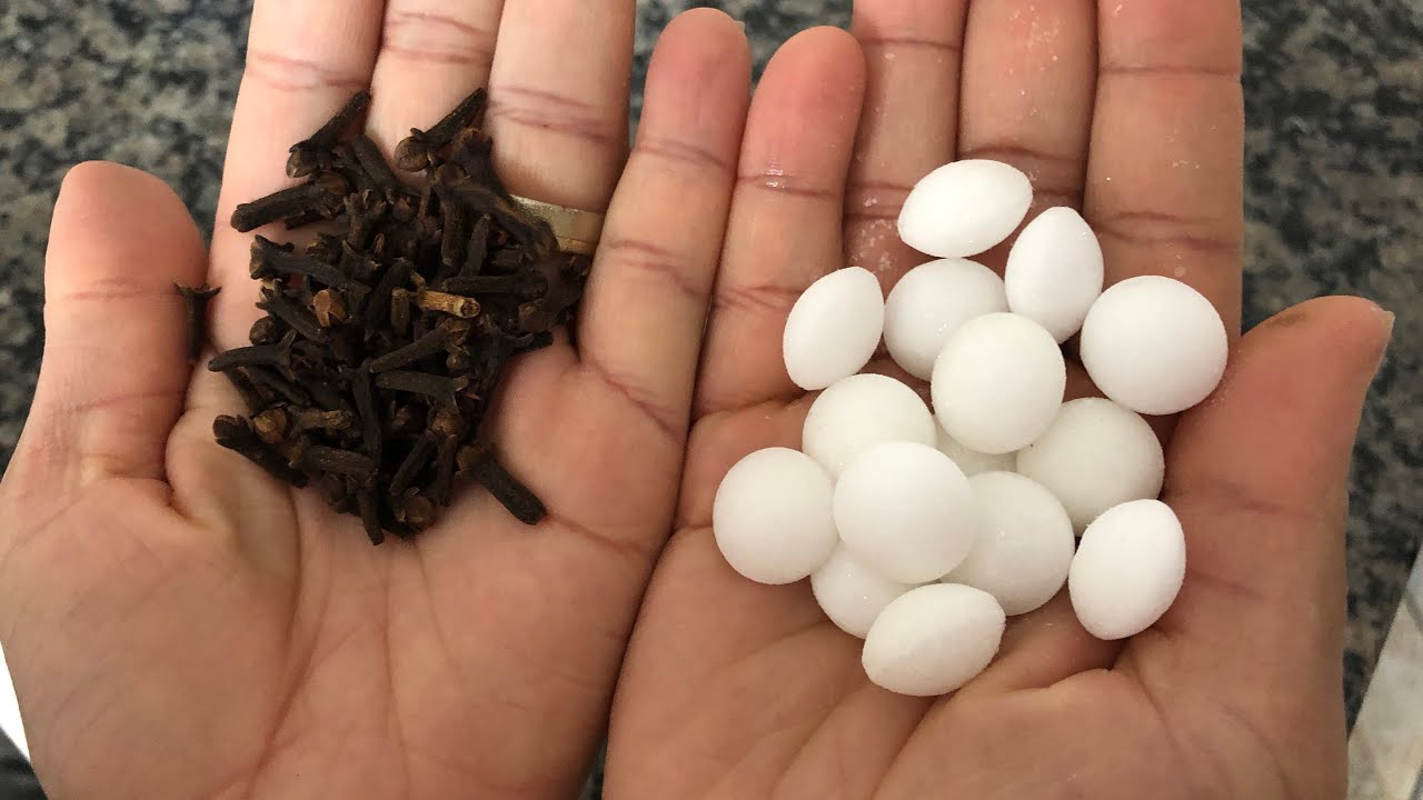 🔴MISTURE CRAVO E NAFTALINA!! VOCÊ NÃO VAI ACREDITAR!!