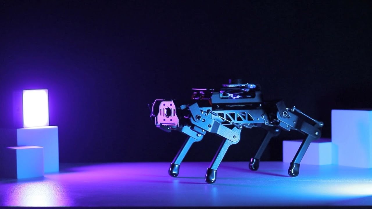 How about walking a robotic dog in the park? COOL! Hiwonder PuppyPi Robot Dog YouTube