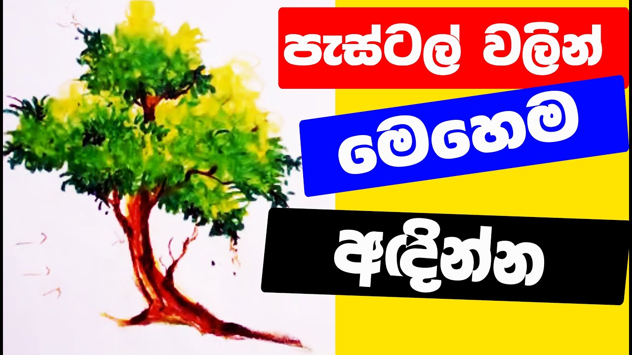How to draw tree pastelpastelArt lesson chithra adina vidihagas adinne kohomada paint hub  0076 
