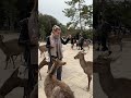 Нара-парк 🦌🌿 — место, где олени гуляют рядом с вами! Незабываемые впечатления ждут! #Нара #Япония