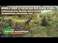 Kehidupan Suku Dayak Pedalaman, Memetik sayur, Memulai hidup di hutan dan berladang kembali