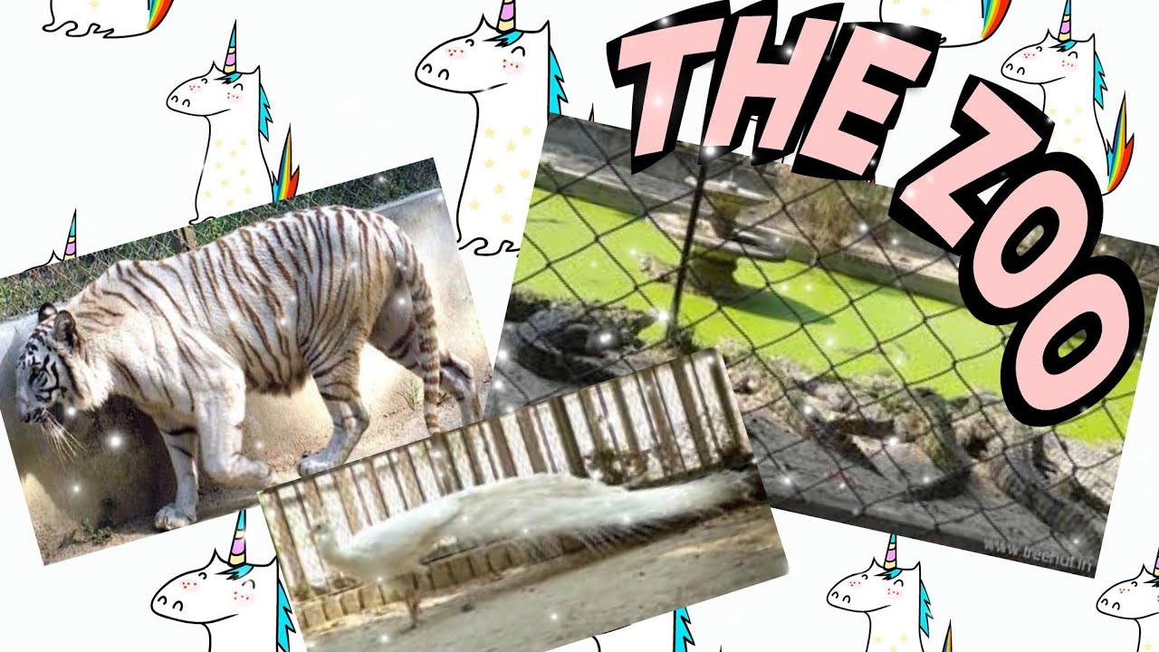 Going to LUCKNOW zoo for the first time# biggest zoo ever seen 