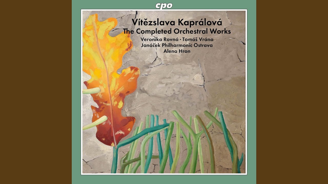 Watch Piano Concerto in D Minor, Op. 7: I. Allegro entusiastico on YouTube